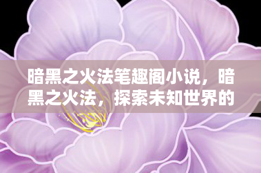 暗黑之火法笔趣阁小说，暗黑之火法，探索未知世界的魔法之旅