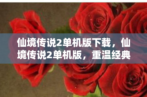 仙境传说2单机版下载，仙境传说2单机版，重温经典，探索未知