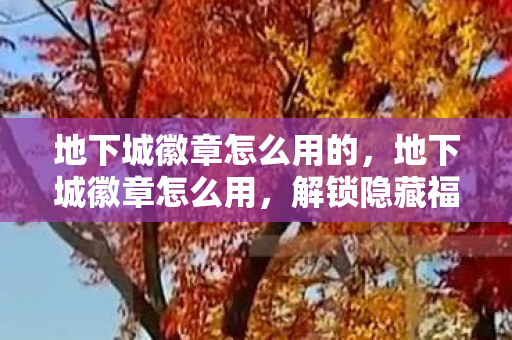 地下城徽章怎么用的，地下城徽章怎么用，解锁隐藏福利，提升游戏体验