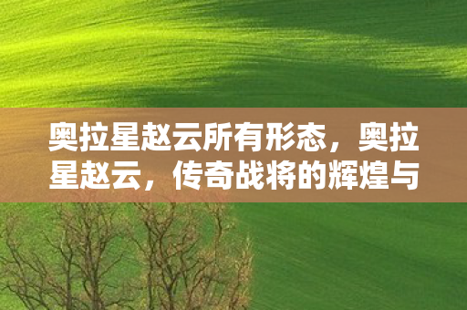 奥拉星赵云所有形态,奥拉星赵云,传奇战将的辉煌与荣耀 奥拉星赵云所有形态,奥拉星赵云,传奇战将的辉煌与荣耀