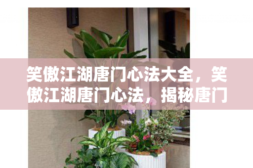 笑傲江湖唐门心法大全,笑傲江湖唐门心法,揭秘唐门的绝世心法与武学奥秘 笑傲江湖唐门心法大全,笑傲江湖唐门心法,揭秘唐门的绝世心法与武学奥秘