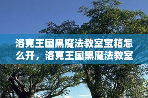 洛克王国黑魔法教室宝箱怎么开，洛克王国黑魔法教室，探索魔法世界的秘密