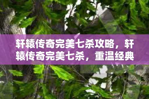 轩辕传奇完美七杀攻略，轩辕传奇完美七杀，重温经典，再战江湖