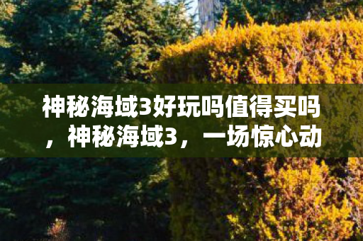 神秘海域3好玩吗值得买吗，神秘海域3，一场惊心动魄的冒险之旅