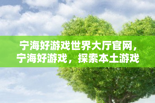 宁海好游戏世界大厅官网，宁海好游戏，探索本土游戏文化的魅力