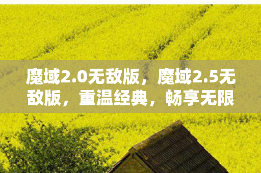 魔域2.0无敌版，魔域2.5无敌版，重温经典，畅享无限可能
