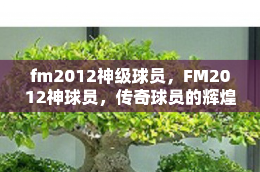 fm2012神级球员,FM2012神球员,传奇球员的辉煌与荣耀 fm2012神级球员,FM2012神球员,传奇球员的辉煌与荣耀
