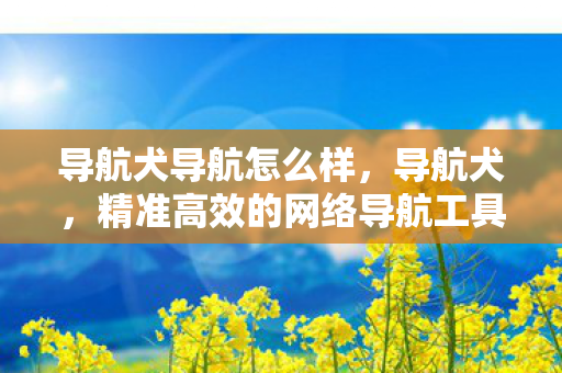 导航犬导航怎么样,导航犬,精准高效的网络导航工具 导航犬导航怎么样,导航犬,精准高效的网络导航工具