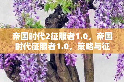 帝国时代2征服者1.0，帝国时代征服者1.0，策略与征服的极致体验