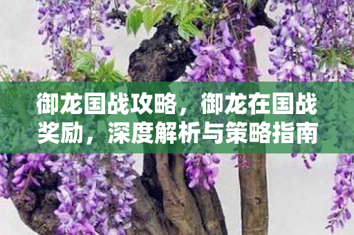 御龙国战攻略,御龙在国战奖励,深度解析与策略指南 御龙国战攻略,御龙在国战奖励,深度解析与策略指南