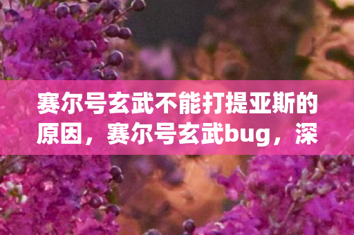 赛尔号玄武不能打提亚斯的原因,赛尔号玄武bug,深度解析与应对策略 赛尔号玄武不能打提亚斯的原因,赛尔号玄武bug,深度解析与应对策略