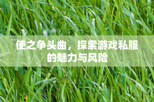 使之争头曲,探索游戏私服的魅力与风险 使之争头曲,探索游戏私服的魅力与风险