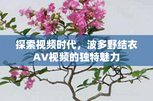 探索视频时代，波多野结衣AV视频的独特魅力