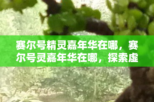 赛尔号精灵嘉年华在哪,赛尔号灵嘉年华在哪,探索虚拟世界的奇妙之旅 赛尔号精灵嘉年华在哪,赛尔号灵嘉年华在哪,探索虚拟世界的奇妙之旅