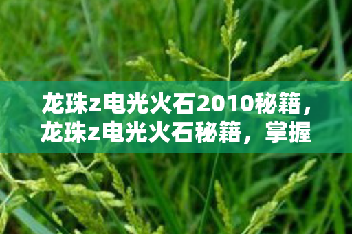 龙珠z电光火石2010秘籍,龙珠z电光火石秘籍,掌握战斗技巧,提升游戏体验 龙珠z电光火石2010秘籍,龙珠z电光火石秘籍,掌握战斗技巧,提升游戏体验