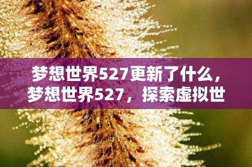 梦想世界527更新了什么,梦想世界527,探索虚拟世界的无限可能 梦想世界527更新了什么,梦想世界527,探索虚拟世界的无限可能