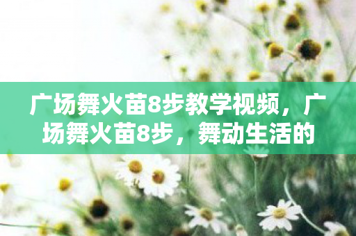 广场舞火苗8步教学视频，广场舞火苗8步，舞动生活的快乐节奏