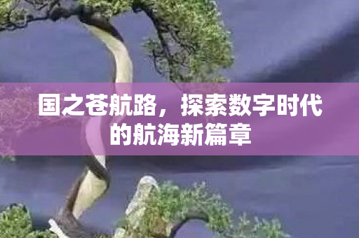 国之苍航路，探索数字时代的航海新篇章