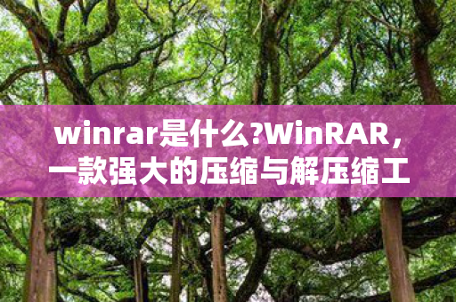 winrar是什么?WinRAR，一款强大的压缩与解压缩工具