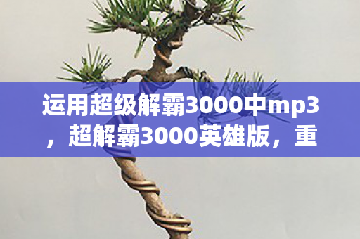 运用超级解霸3000中mp3，超解霸3000英雄版，重塑经典，引领游戏新风尚