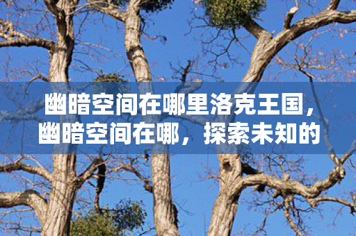 幽暗空间在哪里洛克王国，幽暗空间在哪，探索未知的网络深渊
