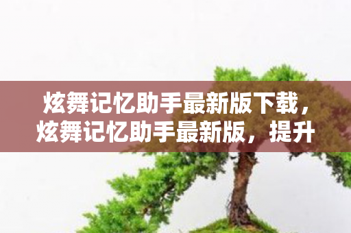 炫舞记忆助手最新版下载，炫舞记忆助手最新版，提升游戏体验的必备神器