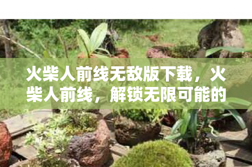火柴人前线无敌版下载,火柴人前线,解锁无限可能的冒险之旅 火柴人前线无敌版下载,火柴人前线,解锁无限可能的冒险之旅