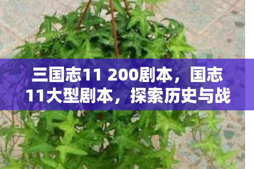 三国志11 200剧本,国志11大型剧本,探索历史与战略的深度交融 三国志11 200剧本,国志11大型剧本,探索历史与战略的深度交融