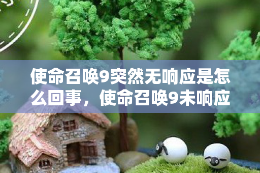 使命召唤9突然无响应是怎么回事,使命召唤9未响应,深度解析游戏卡顿与崩溃的幕后原因 使命召唤9突然无响应是怎么回事,使命召唤9未响应,深度解析游戏卡顿与崩溃的幕后原因