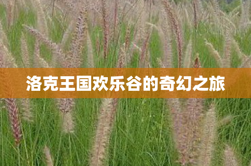 洛克王国欢乐谷的奇幻之旅 洛克王国欢乐谷的奇幻之旅