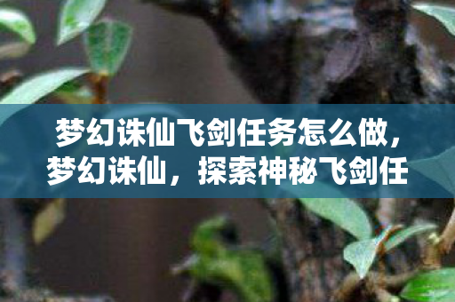 梦幻诛仙飞剑任务怎么做，梦幻诛仙，探索神秘飞剑任务的奇幻之旅