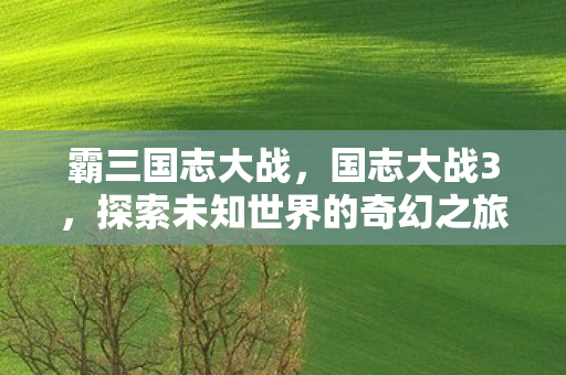 霸三国志大战，国志大战3，探索未知世界的奇幻之旅