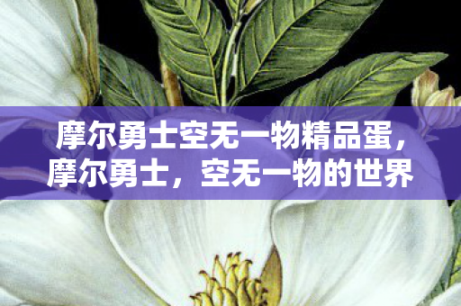摩尔勇士空无一物精品蛋,摩尔勇士,空无一物的世界 摩尔勇士空无一物精品蛋,摩尔勇士,空无一物的世界