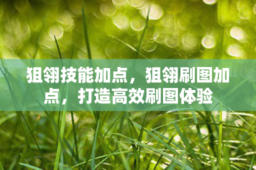 狙翎技能加点,狙翎刷图加点,打造高效刷图体验 狙翎技能加点,狙翎刷图加点,打造高效刷图体验