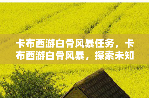 卡布西游白骨风暴任务，卡布西游白骨风暴，探索未知世界的奇幻之旅