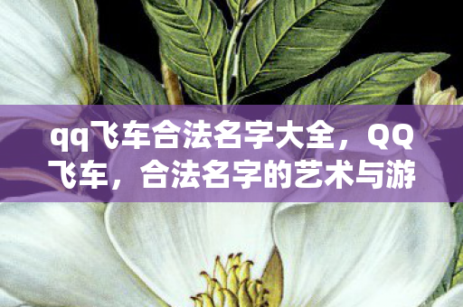 qq飞车合法名字大全,QQ飞车,合法名字的艺术与游戏乐趣的无限延伸 qq飞车合法名字大全,QQ飞车,合法名字的艺术与游戏乐趣的无限延伸