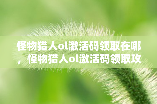 怪物猎人ol激活码领取在哪,怪物猎人ol激活码领取攻略 怪物猎人ol激活码领取在哪,怪物猎人ol激活码领取攻略