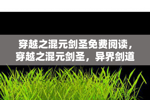 穿越之混元剑圣免费阅读,穿越之混元剑圣,异界剑道传奇 穿越之混元剑圣免费阅读,穿越之混元剑圣,异界剑道传奇