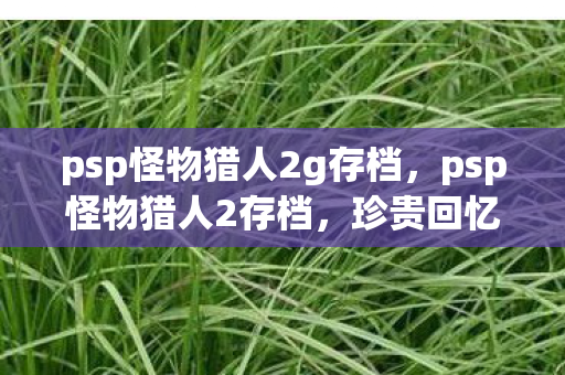 psp怪物猎人2g存档,psp怪物猎人2存档,珍贵回忆与独特体验 psp怪物猎人2g存档,psp怪物猎人2存档,珍贵回忆与独特体验