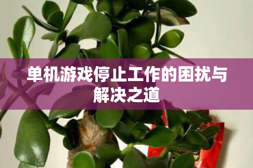 单机游戏停止工作的困扰与解决之道 单机游戏停止工作的困扰与解决之道