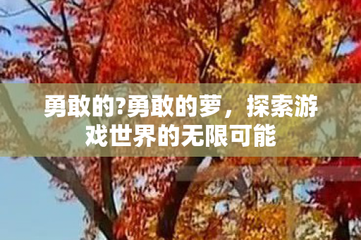 勇敢的?勇敢的萝，探索游戏世界的无限可能