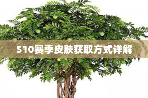 S10赛季皮肤获取方式详解 S10赛季皮肤获取方式详解