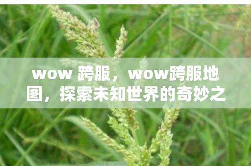 wow 跨服，wow跨服地图，探索未知世界的奇妙之旅