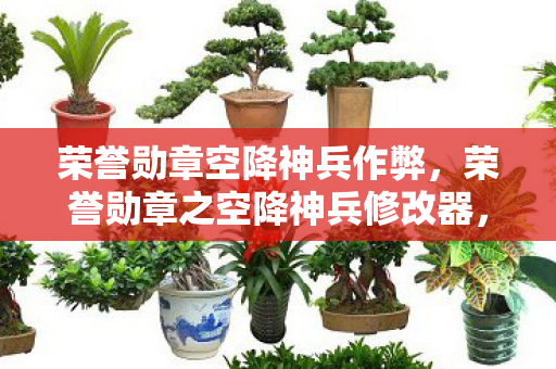 荣誉勋章空降神兵作弊,荣誉勋章之空降神兵修改器,解锁无限可能的战斗利器 荣誉勋章空降神兵作弊,荣誉勋章之空降神兵修改器,解锁无限可能的战斗利器