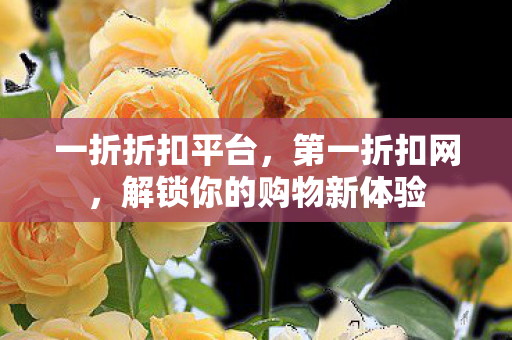 一折折扣平台，第一折扣网，解锁你的购物新体验