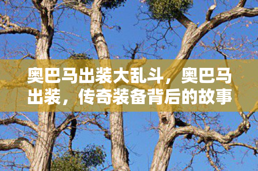 奥巴马出装大乱斗,奥巴马出装,传奇装备背后的故事 奥巴马出装大乱斗,奥巴马出装,传奇装备背后的故事