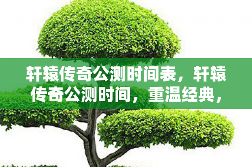 轩辕传奇公测时间表,轩辕传奇公测时间,重温经典,共赴传奇之旅 轩辕传奇公测时间表,轩辕传奇公测时间,重温经典,共赴传奇之旅