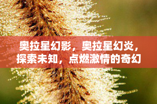 奥拉星幻影，奥拉星幻炎，探索未知，点燃激情的奇幻之旅