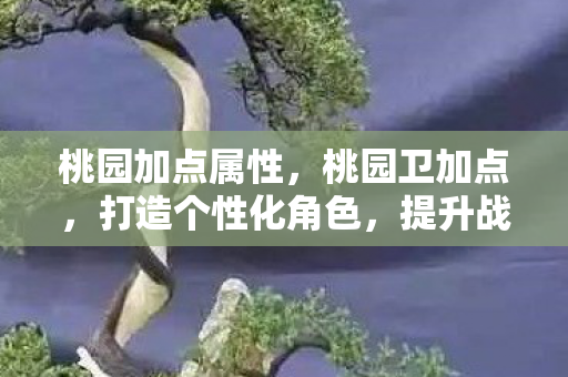 桃园加点属性，桃园卫加点，打造个性化角色，提升战斗力的关键