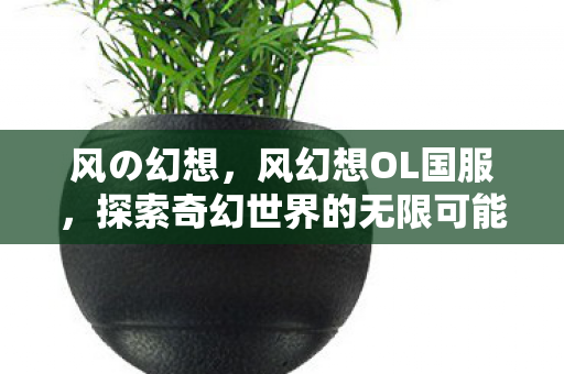 风の幻想,风幻想OL国服,探索奇幻世界的无限可能 风の幻想,风幻想OL国服,探索奇幻世界的无限可能